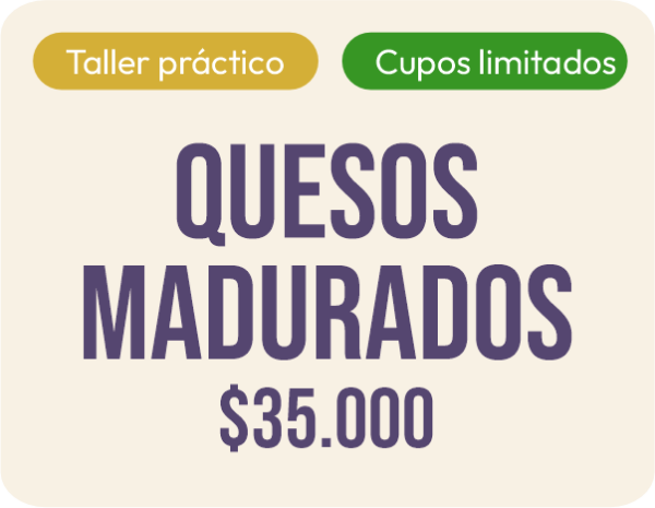 Pasaporte Interactivo: Quesos Madurados y Vino