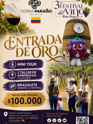 Entrada ORO - Mini Tour del vino + 1 taller de aprendizaje + entrada general.